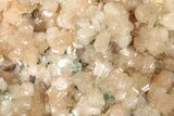 Peach Stilbite Crystals on Lustrous Heulandite - India #348351-1